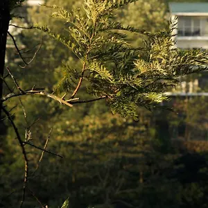 3* Resort Falcon Crest