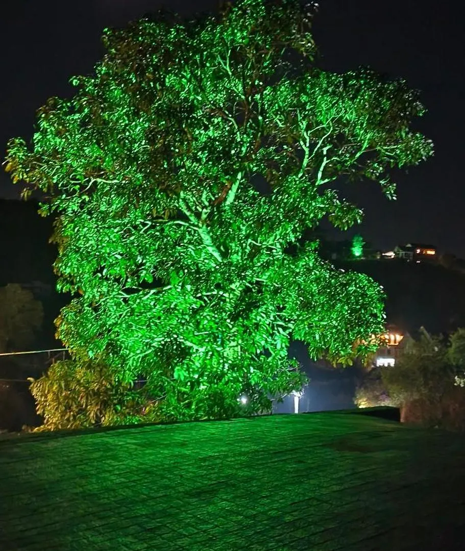 Cloud9 Resort Vagamon Bed & Breakfast